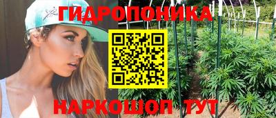 стафф Будённовск