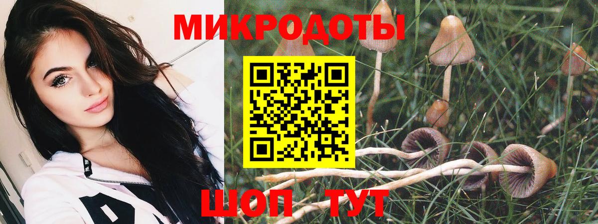Галлюциногенные грибы MAGIC MUSHROOMS  Псилоцибиновые грибы Psilocybe  цены наркотик  Старая Купавна 