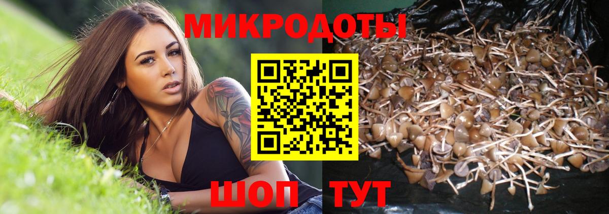 Галлюциногенные грибы Psilocybe  Галлюциногенные грибы Psilocybine cubensis  Старая Купавна  Вход с VPN 