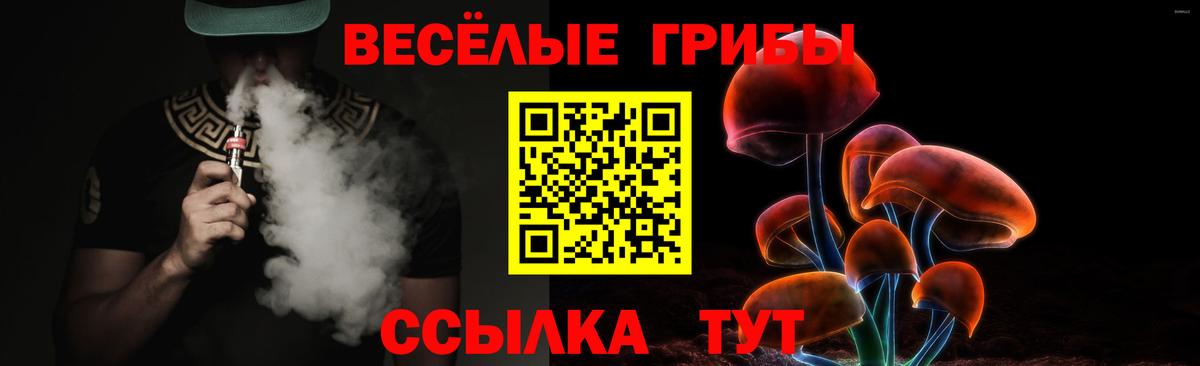 Псилоцибиновые грибы Cubensis Старая Купавна